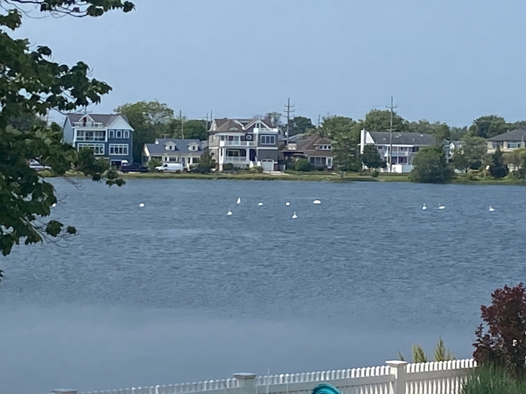 Back yard lake view