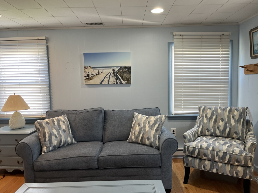 Living room with new full size sleepr