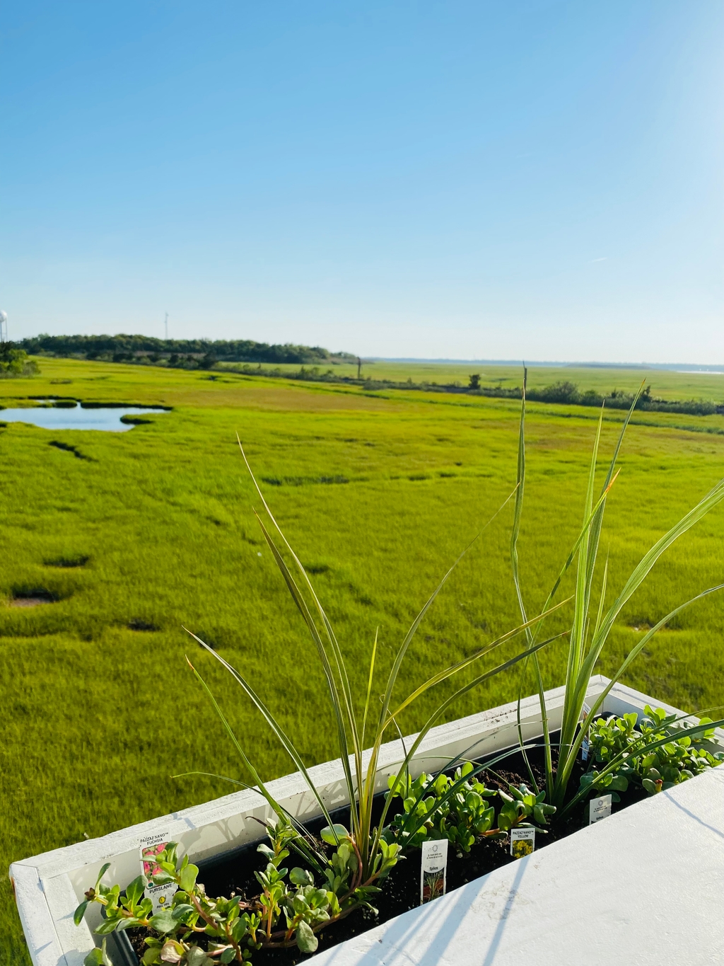 No neighbors to the left allow for wildlife watching, amazing sunsets and a little more privacy 