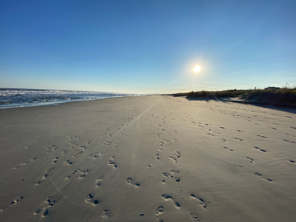 Fall walks on the beach