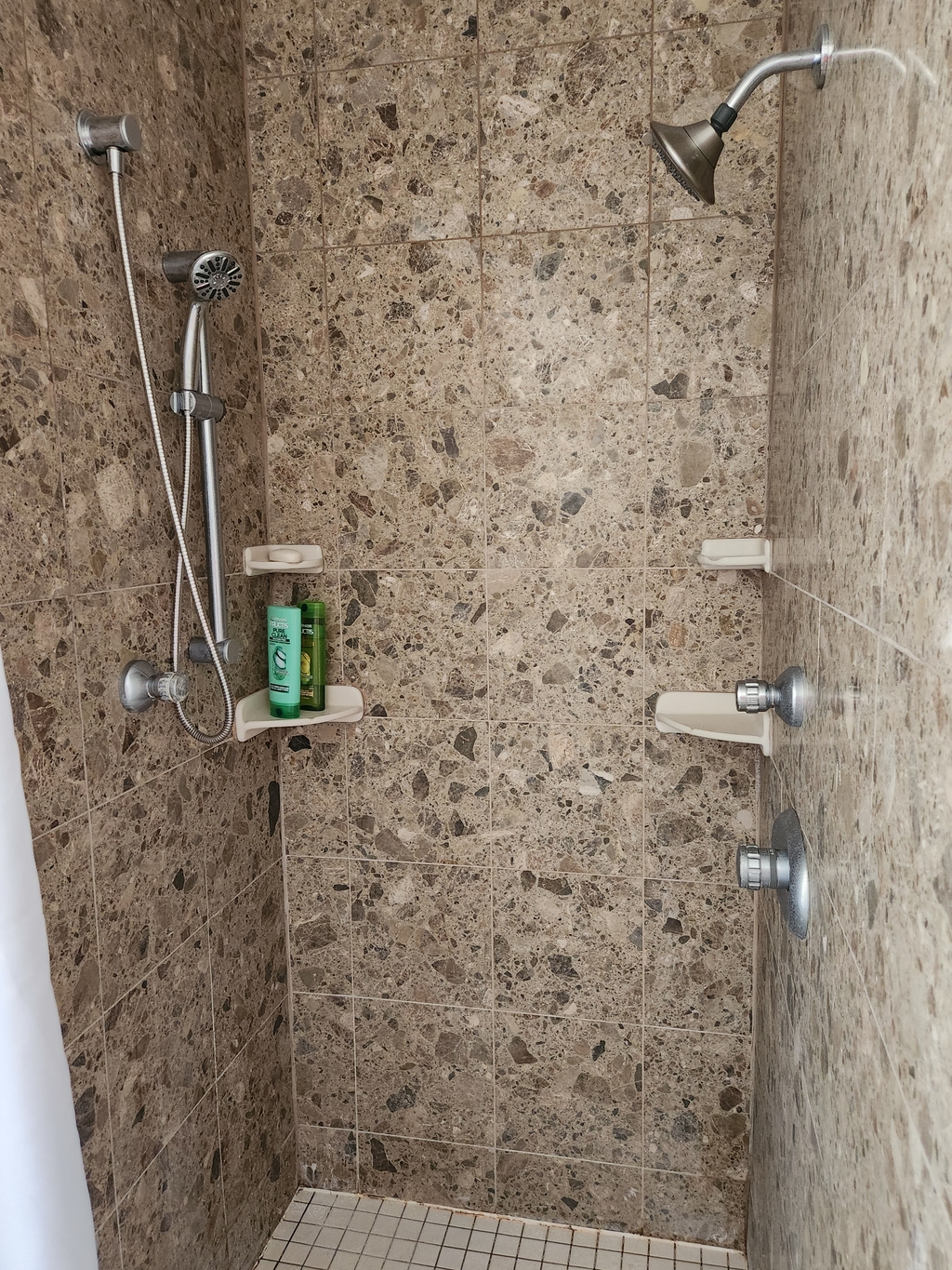 Master shower