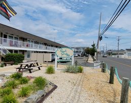 Ortley Oasis - Beach Retreat