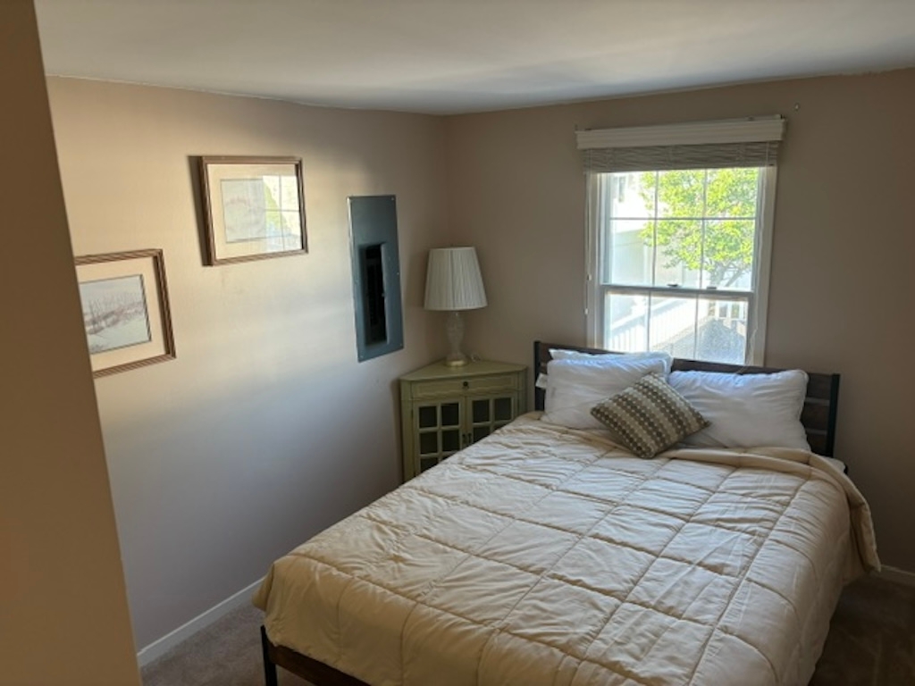 Downstairs Queen Bed