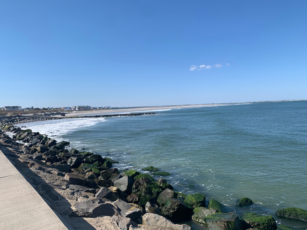 Walk the Seawall 