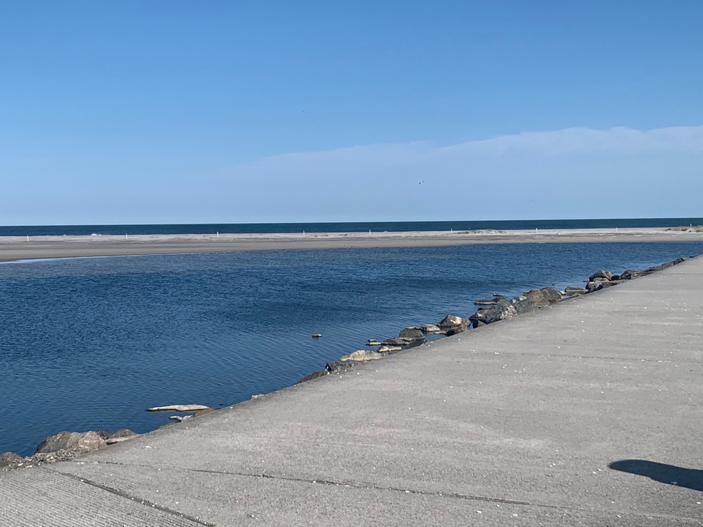 Walk the Seawall 