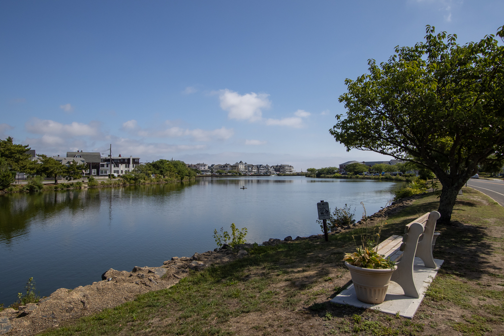lake across with street 
