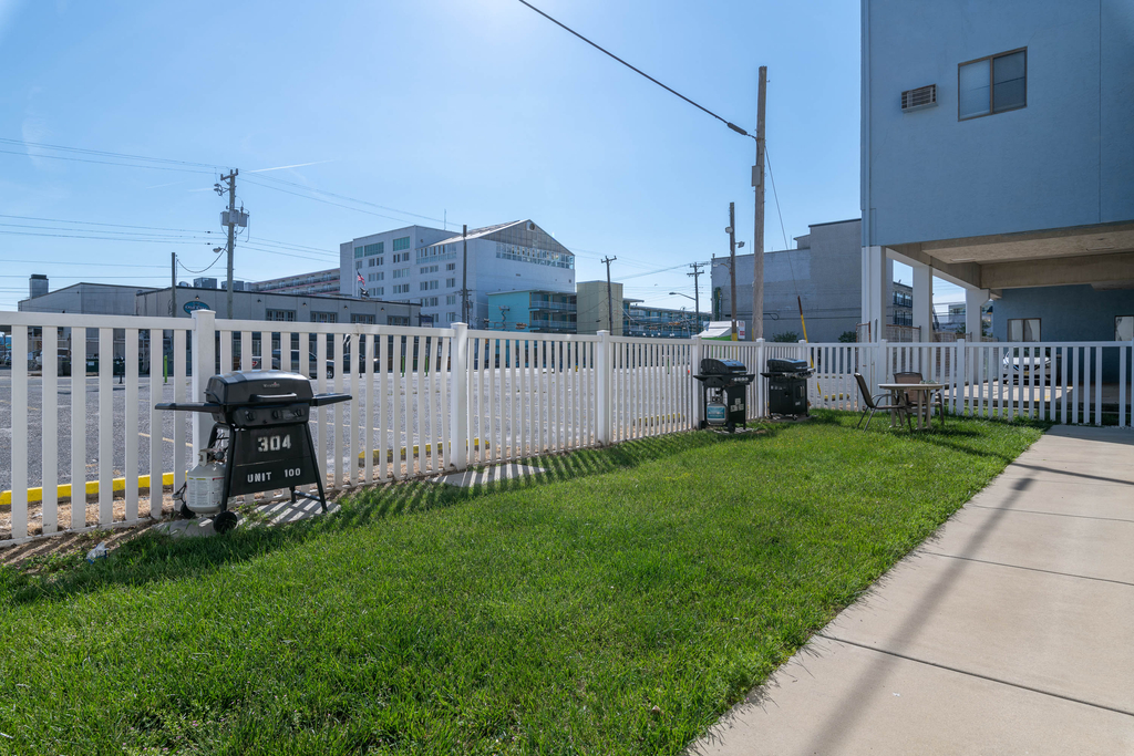 Backyard #01