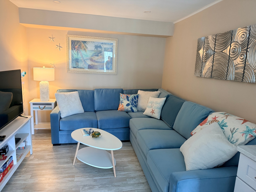 New sectional with queen pullout 