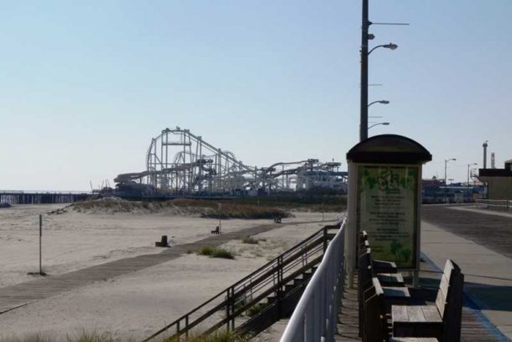 Roller Coaster View