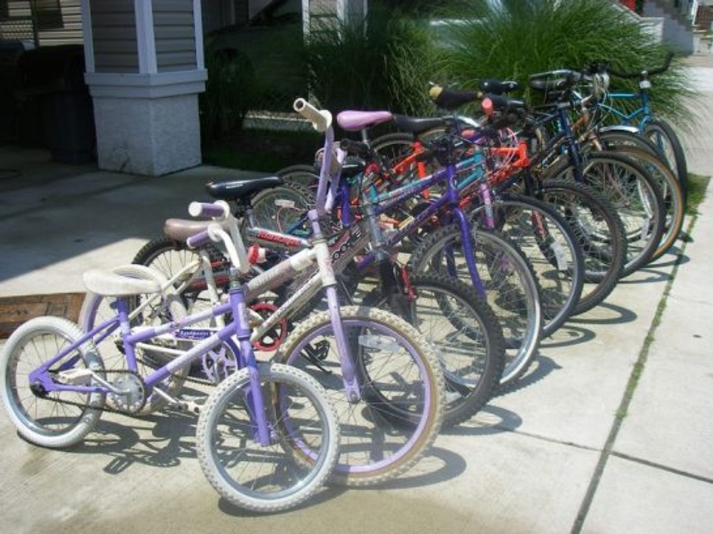 11 bikes all sizes adult/youth