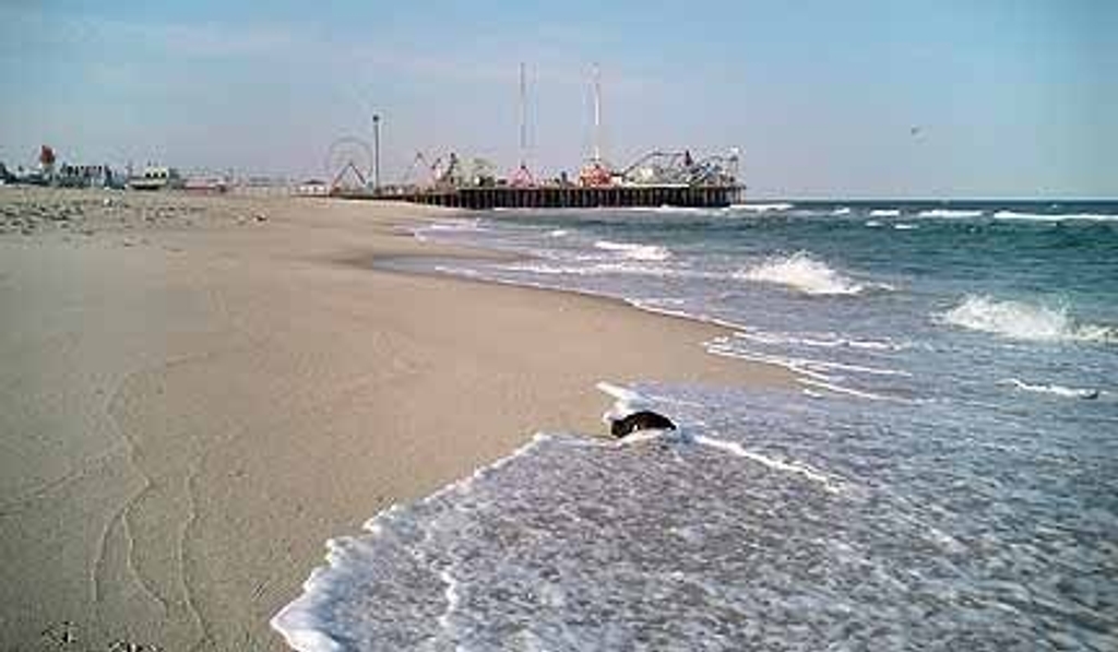Beautiful Family Beach Just 6 Blocks to the Sawmill Restaurant