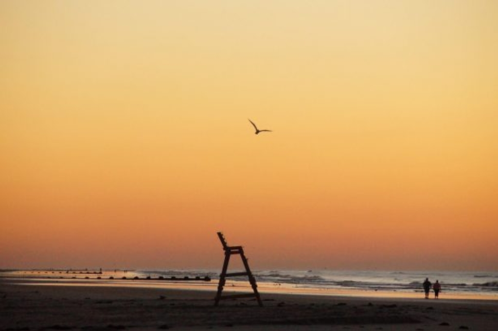  Crest sunrise