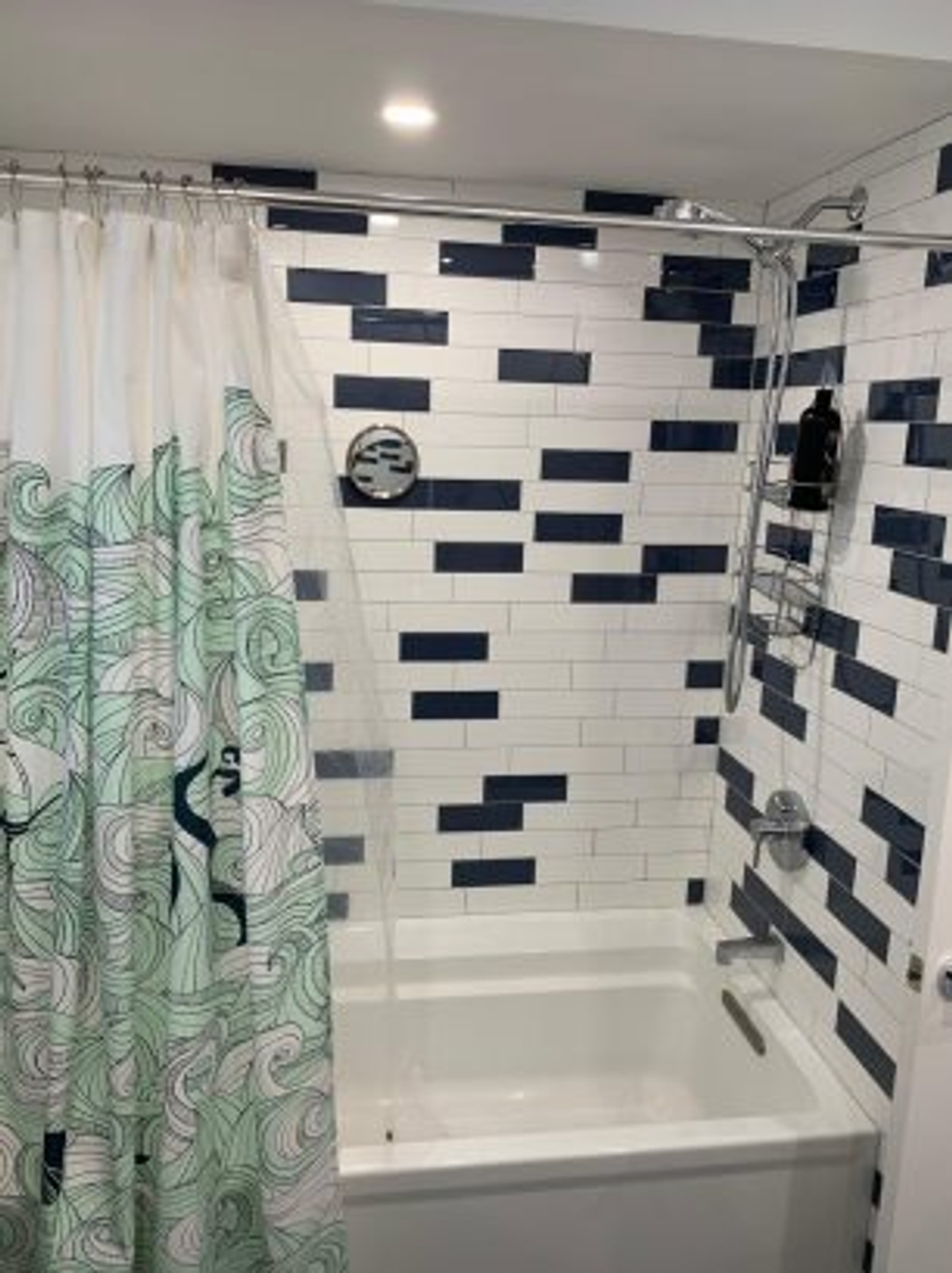 Hall Bathroom shower