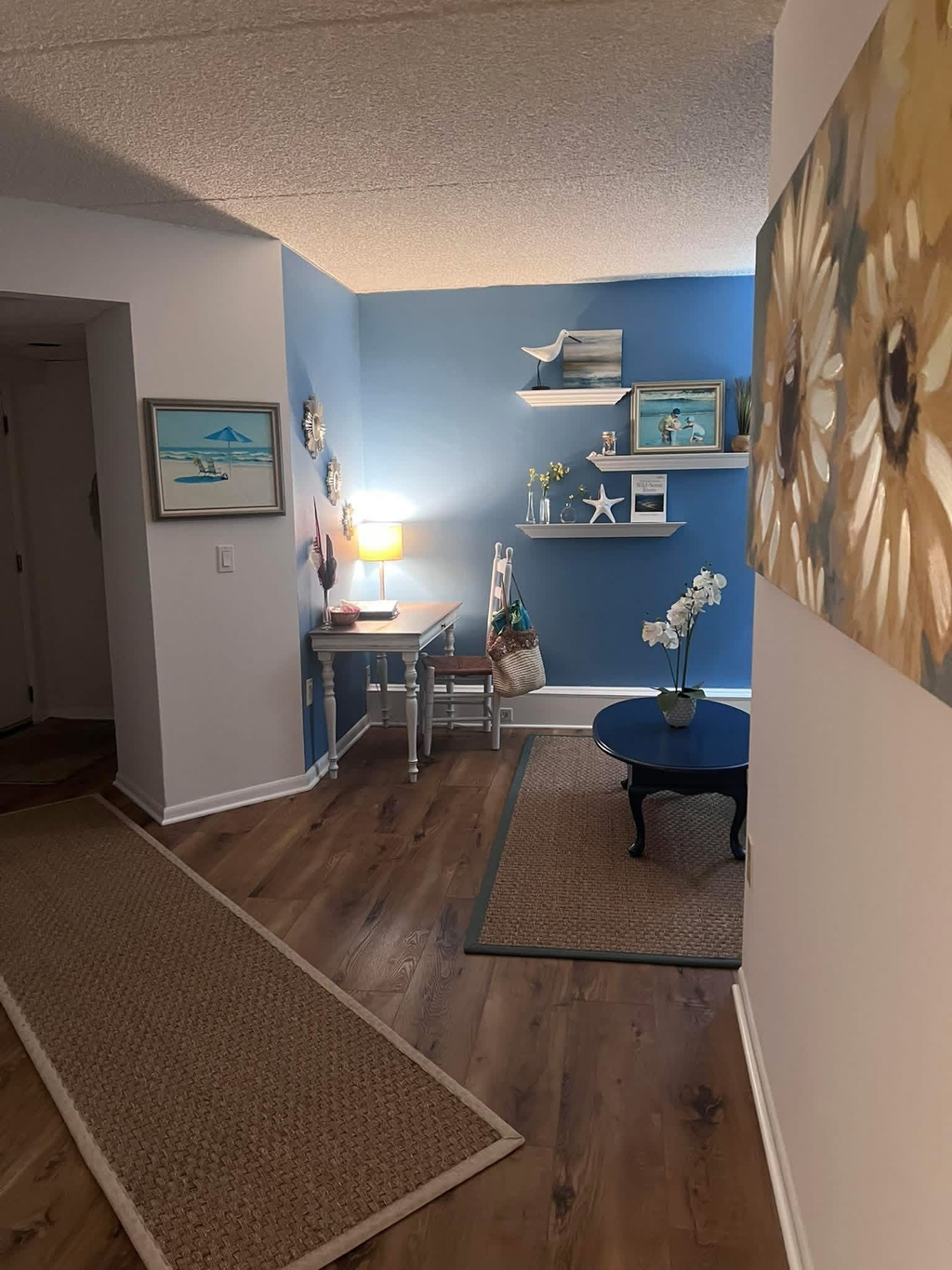 den area with pullout sofa