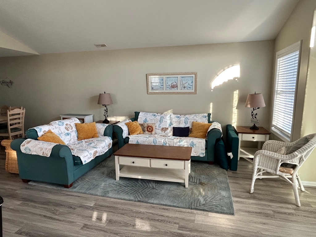 Living Room - queen sofa bed
