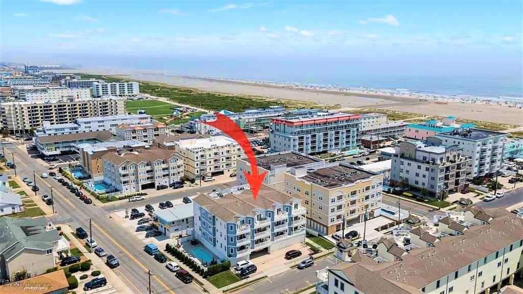 The location