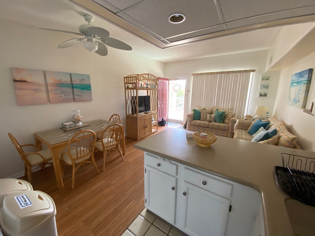 Living room / Kitchen area 