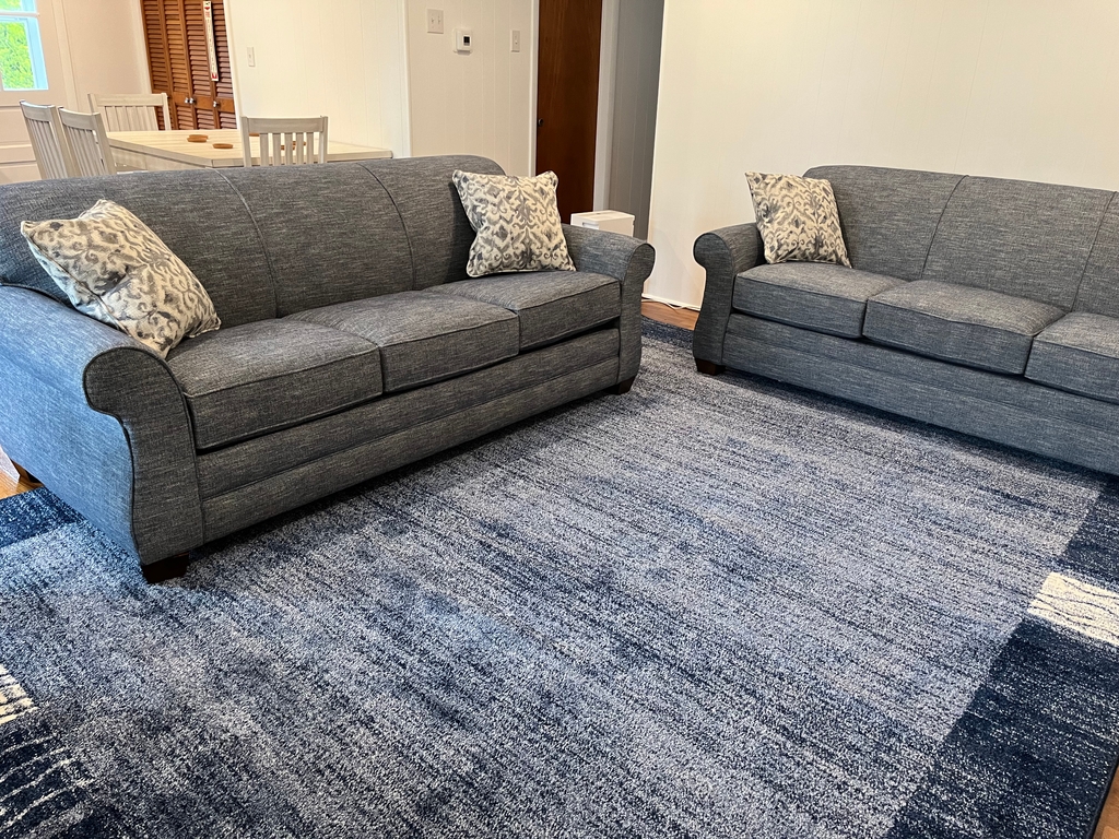 Living room including the sleeper sofa