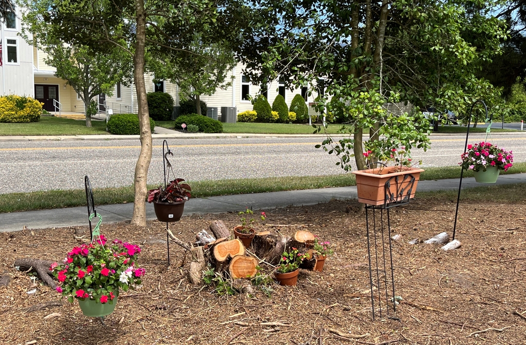 Part of the side yard