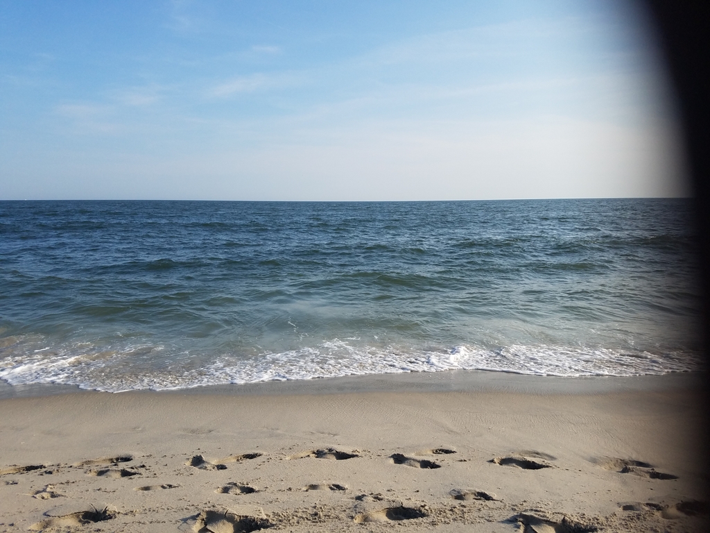 The ocean is waiting for you!