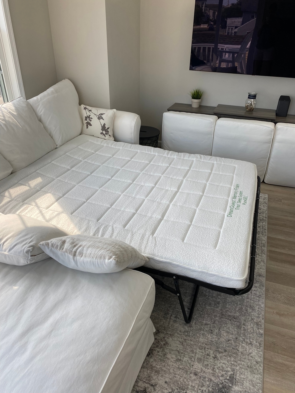 Pull out couch