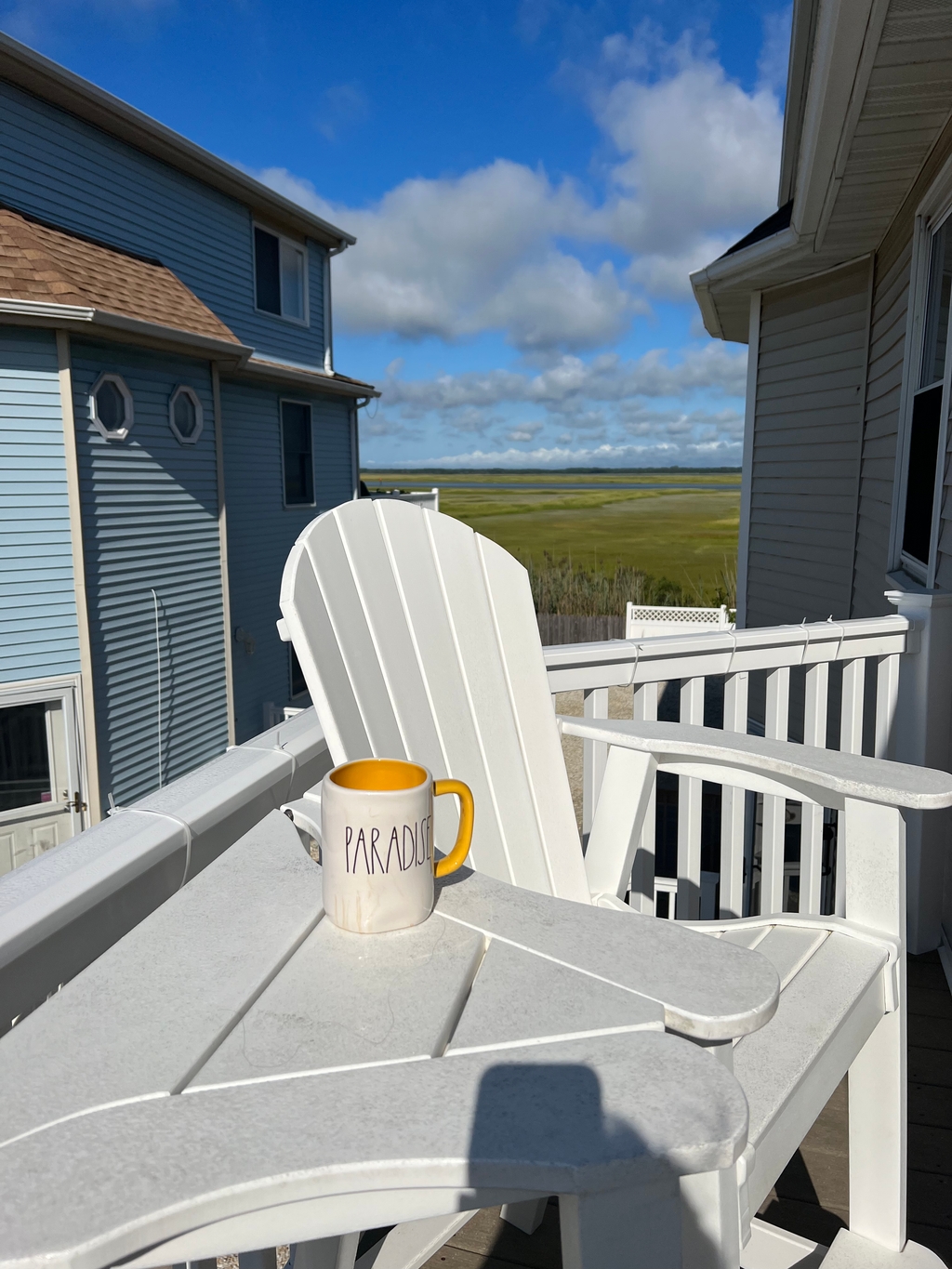Deck Views of Bay