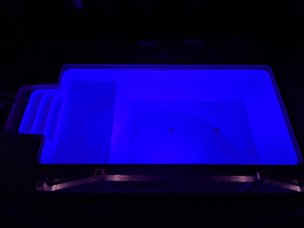 Night swims