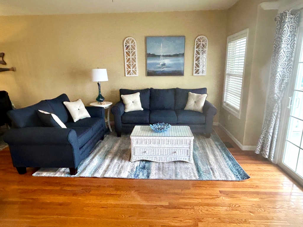 LR - new queen sleeper soft, loveseat, and rug